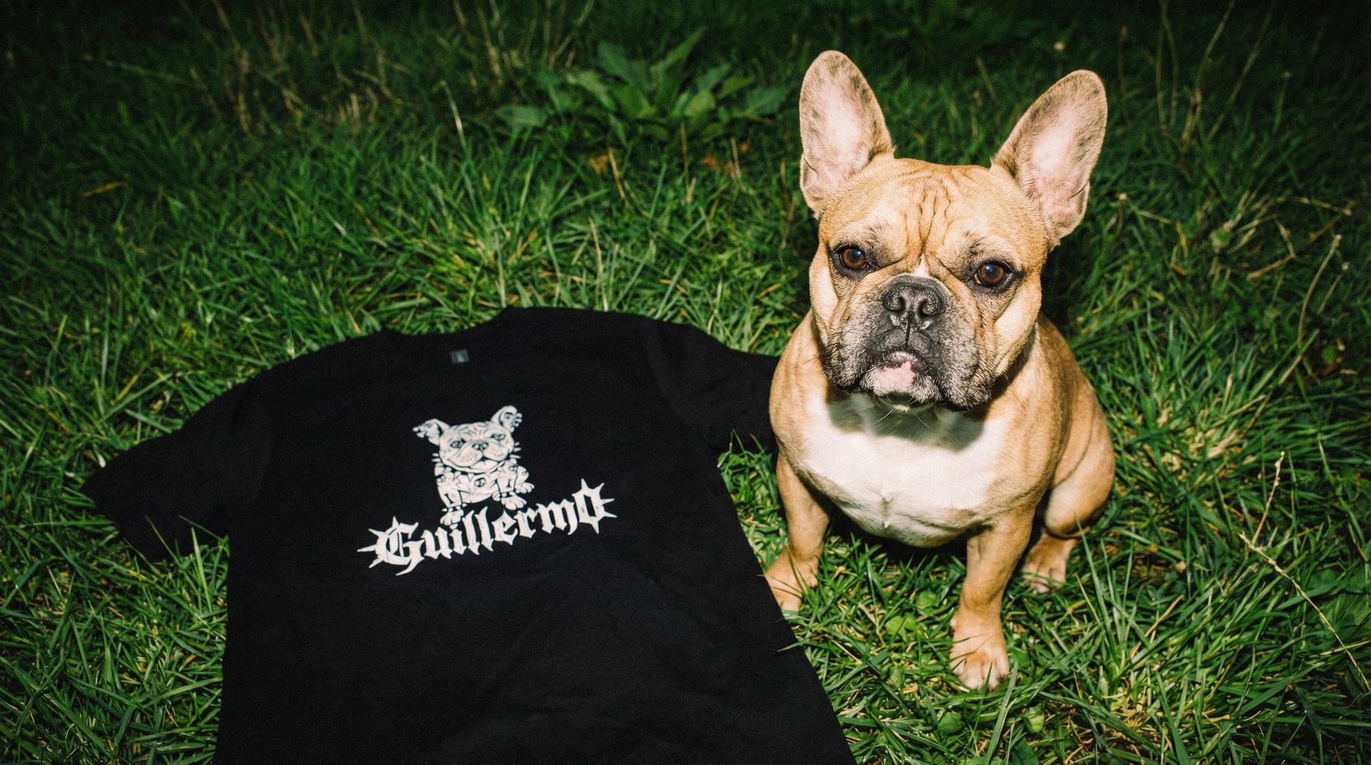 Metal Puppy Drop #0001